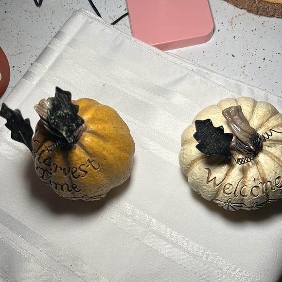 TWO Fall Pumpkins 🎃 - Picture 9 of 9
